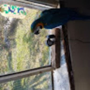 Meet your Posher, Maureen